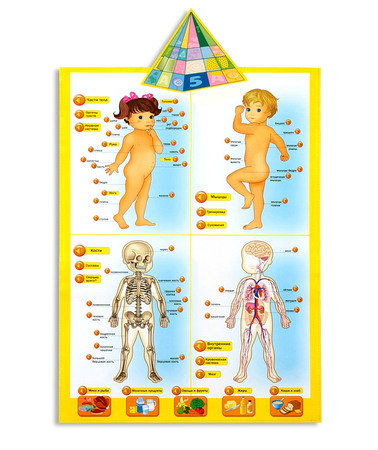 Картинка 7 из 51